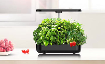 The Perfect Gift for Garden Lovers: An Indoor Hydroponic Gardening System