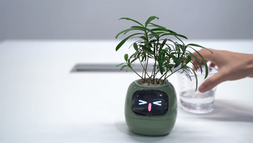 Meet IvySmart: The Intelligent Planter That Grows With You