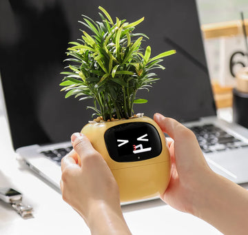 Person holding a small potted plant with a face on a desk in front of a laptop. Perfect gift for plant lovers.