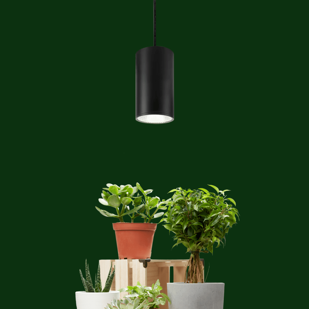 AuraGlow Pendant Plant Growing Light