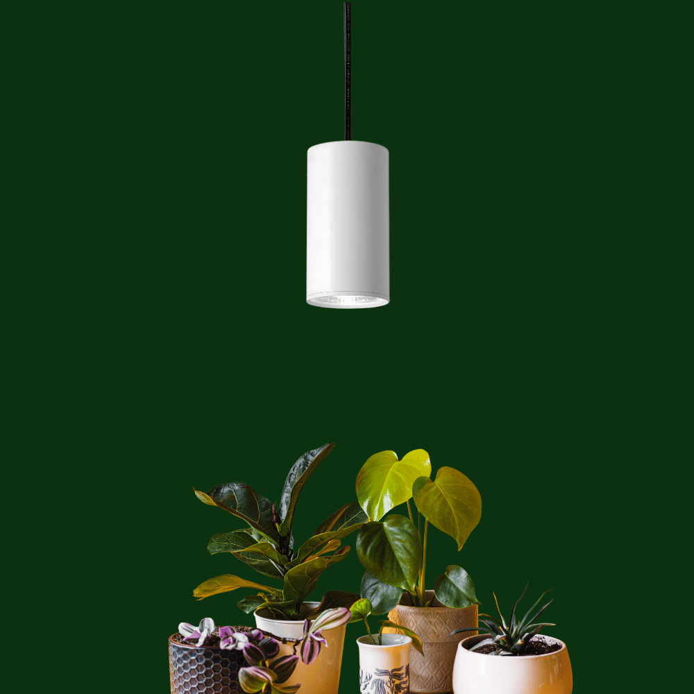 AuraGlow Pendant Plant Growing Light