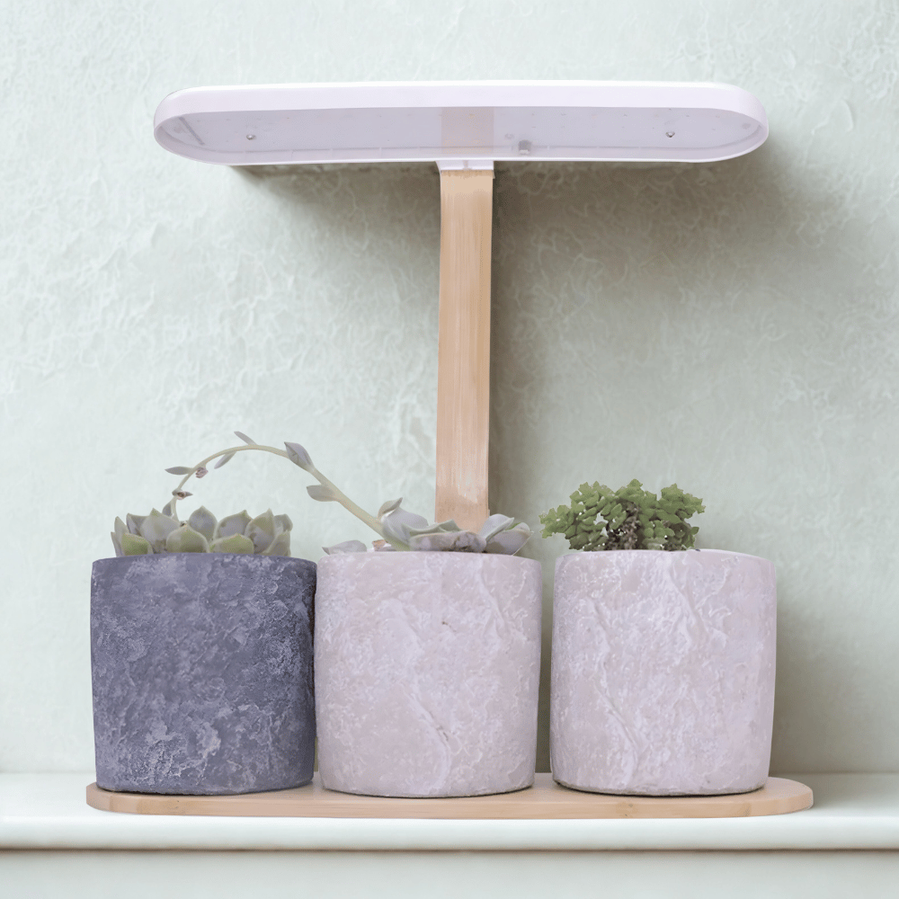 AuraGrow Bamboo LED Lamp