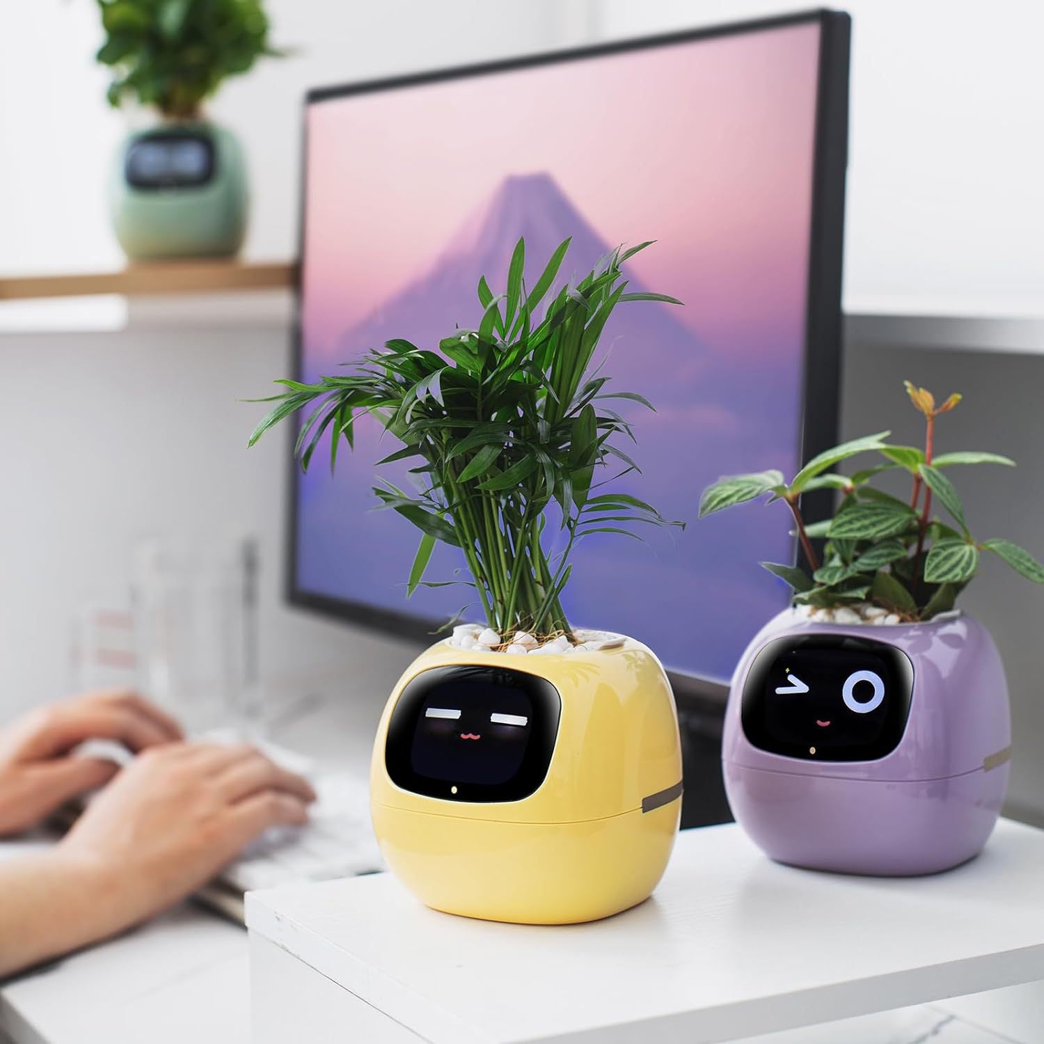 Two small IvySmart self-watering AI planters with faces on a desk next to a computer screen.