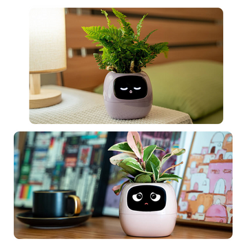 Two decorative IvySmart pet plant pots with face designs on a table and against a blurred background.