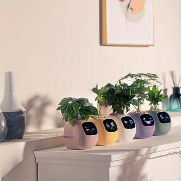 Row of IvySmart Planter | Smart FlowerPot with App