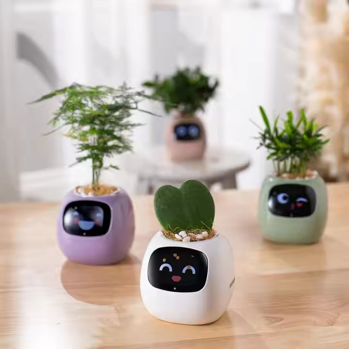 IvySmart Planter | Your Plant's New Best Friend