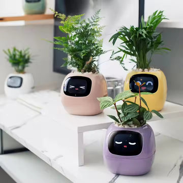 Smart planters with facial expressions on a white surface, Perfect for gift