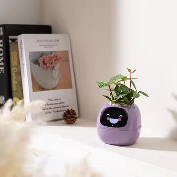 Small purple AI powered IvySmart plant pot with a face design on a surface with books and a pine cone in the background.
