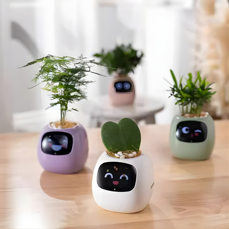 Ivy Smart Planter: Self-Watering & Interactive