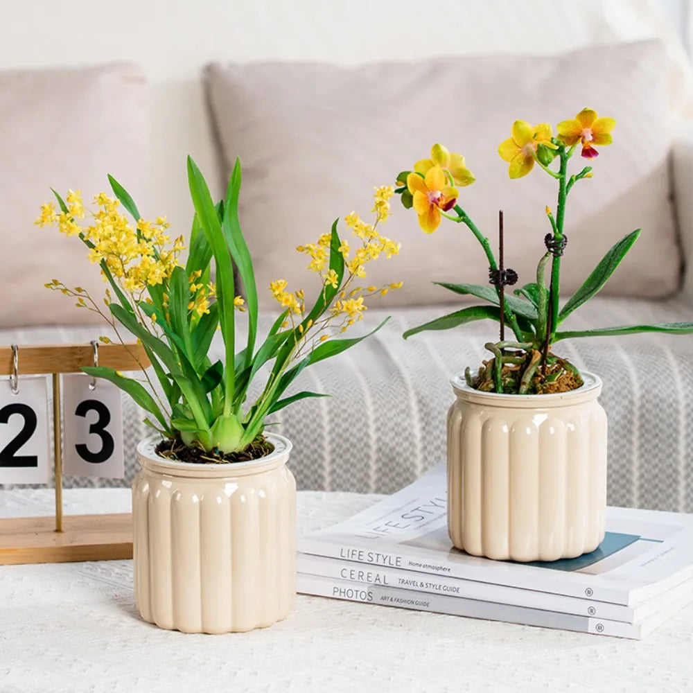 RomanHydro Self-Watering Planter