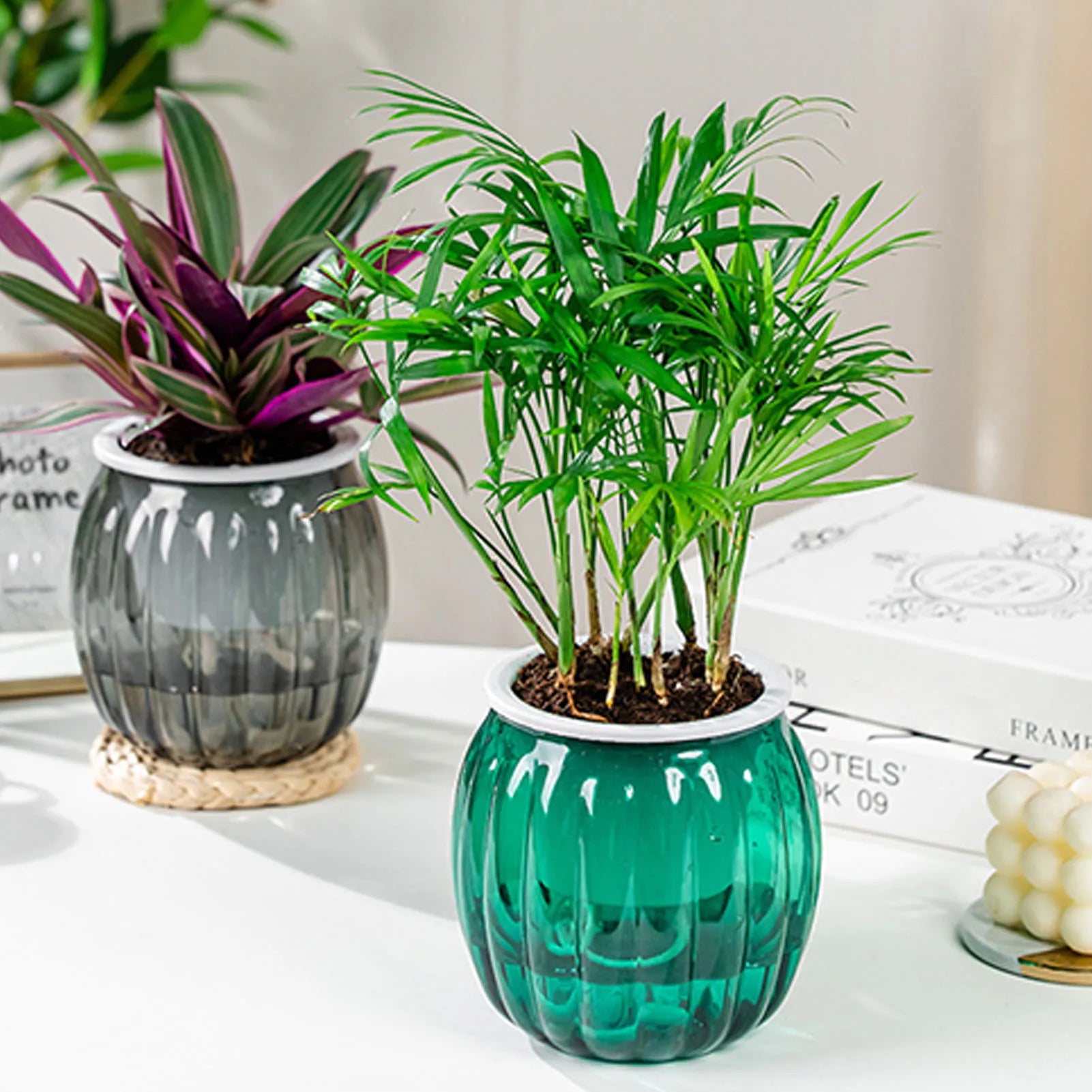 PumpkinSprout Self Watering Planter