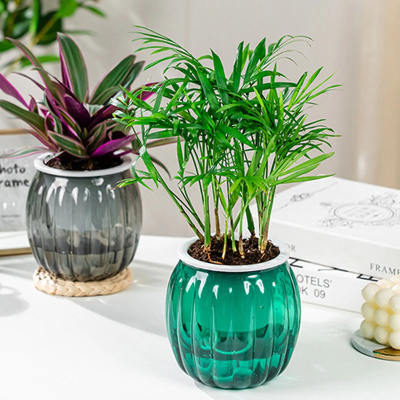 PumpkinSprout Self Watering Planter