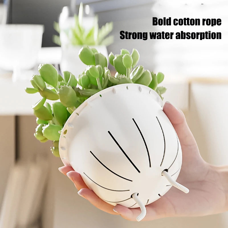 AquaVista Self-Watering Planter