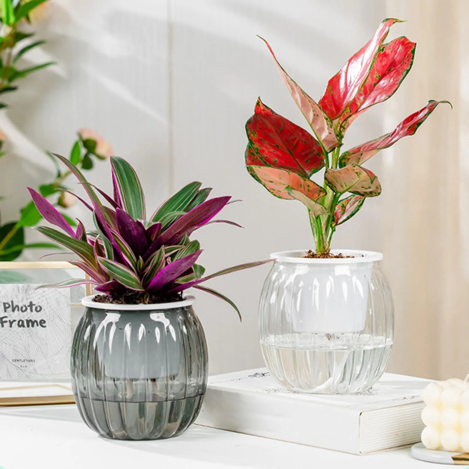 PumpkinSprout Self Watering Planter