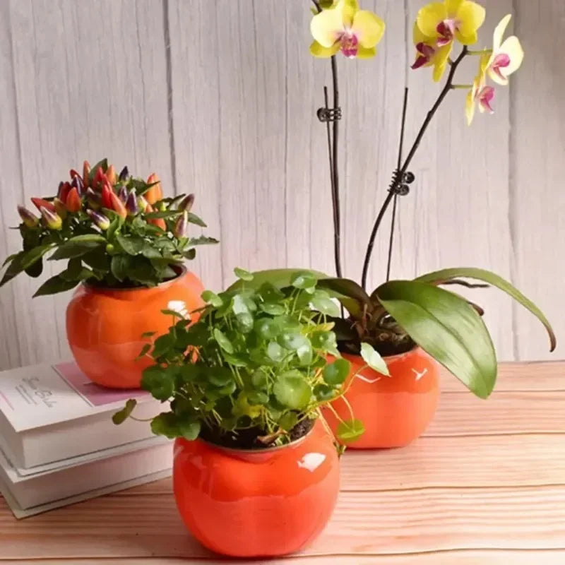 AquaCore Modern Self-Watering Planter
