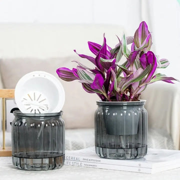RomanHydro Self-Watering Planter