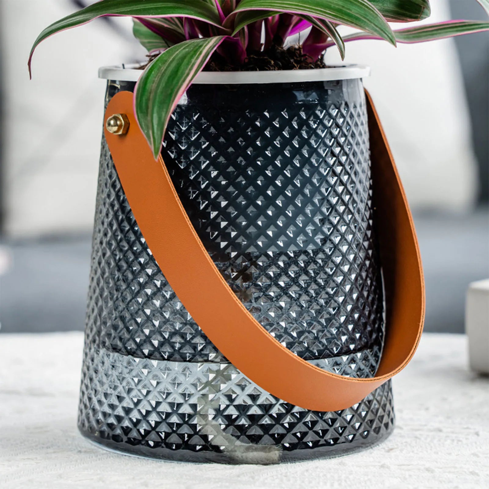 LumoCarry Self-Watering Planter