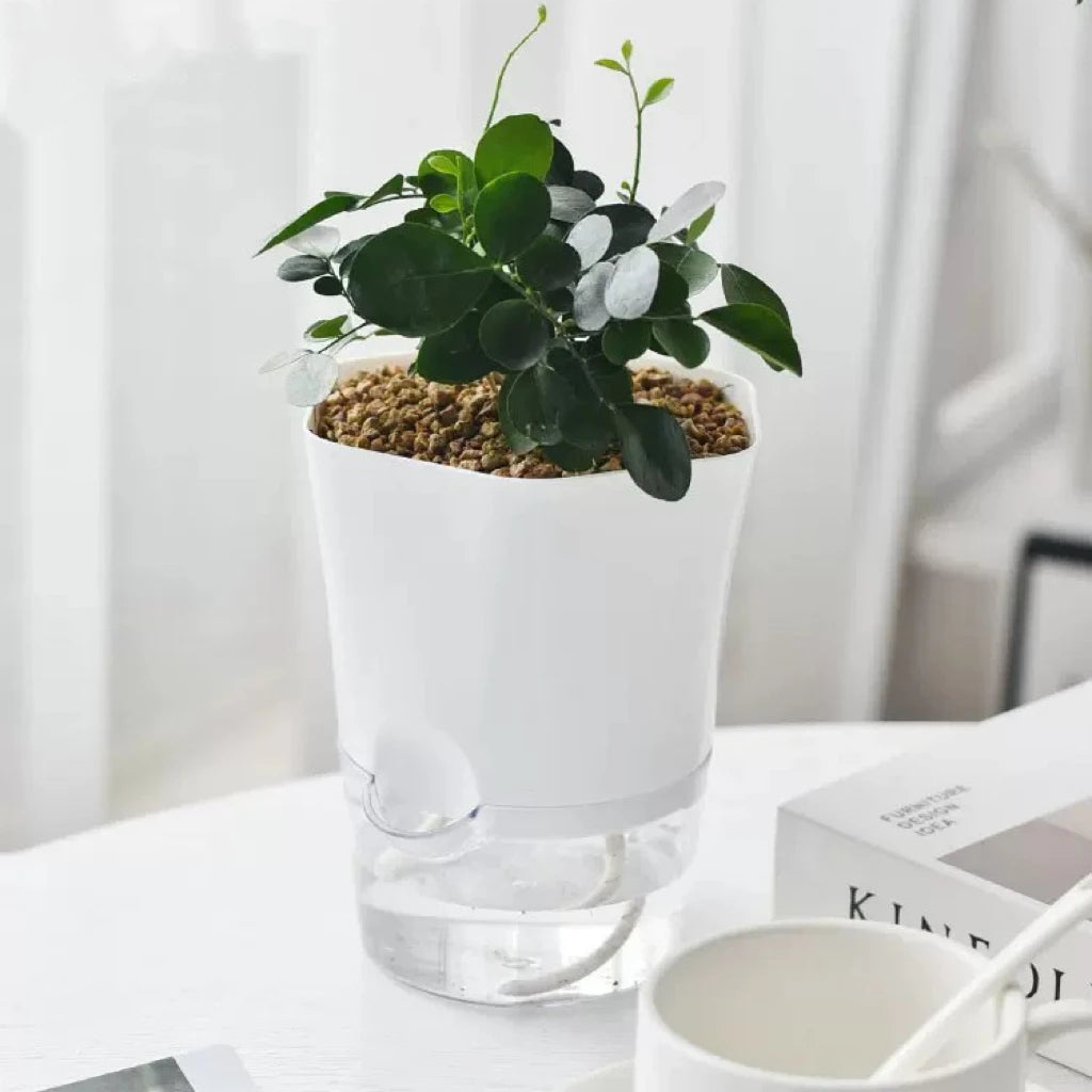 HydroVue Self Watering Planter