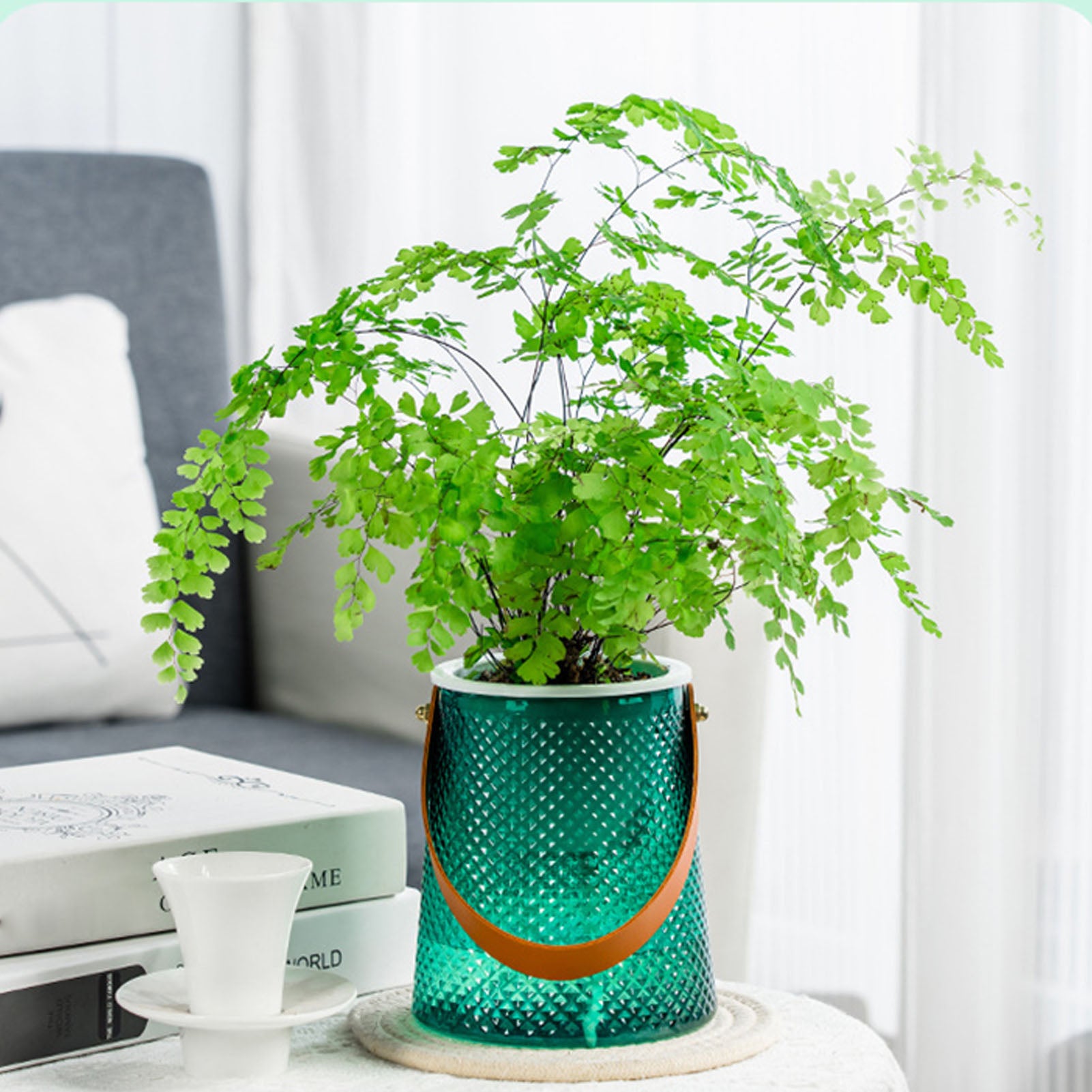 LumoCarry Self-Watering Planter