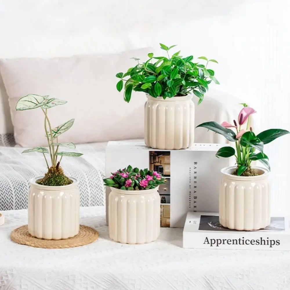 RomanHydro Self-Watering Planter