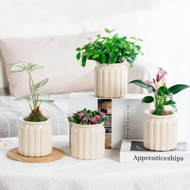 RomanHydro Self-Watering Planter