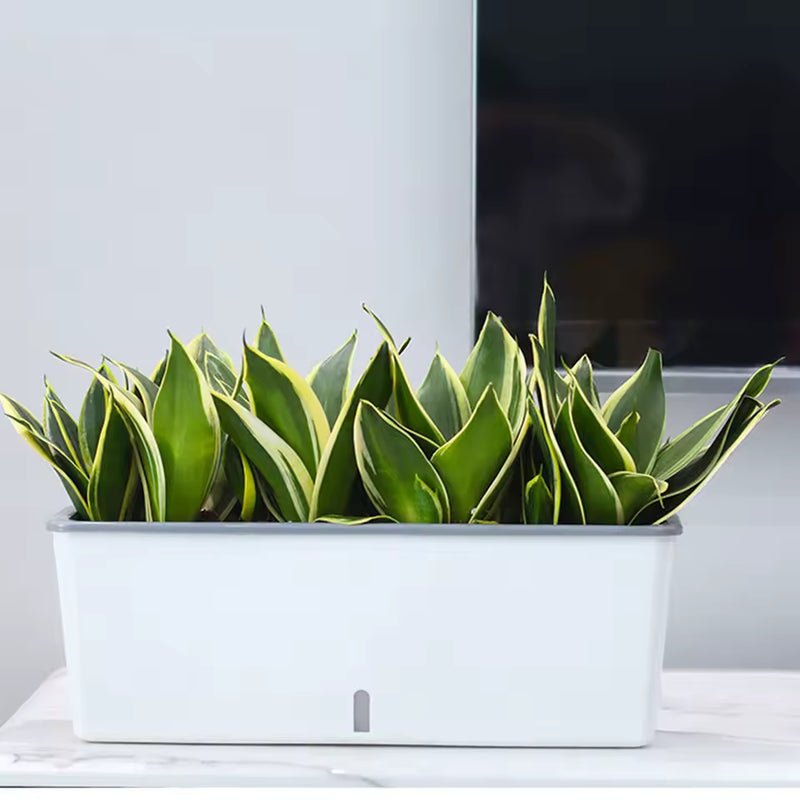 HydroLevel Self-Watering Planter Box