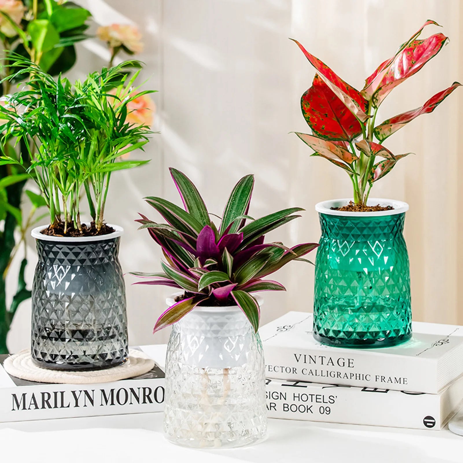 LumoCarry Self-Watering Planter