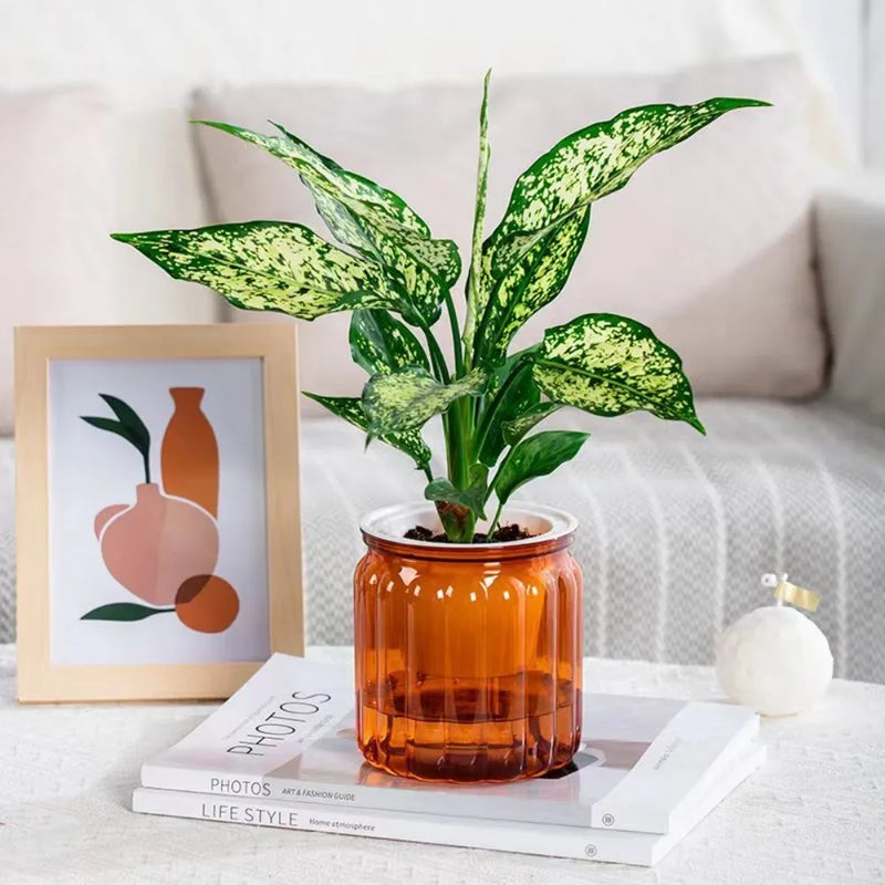 RomanHydro Self-Watering Planter
