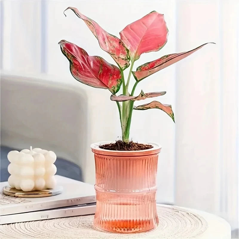 BloomVase Self-Watering Planter