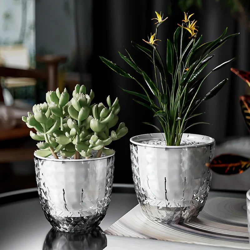AquaVista Self-Watering Planter
