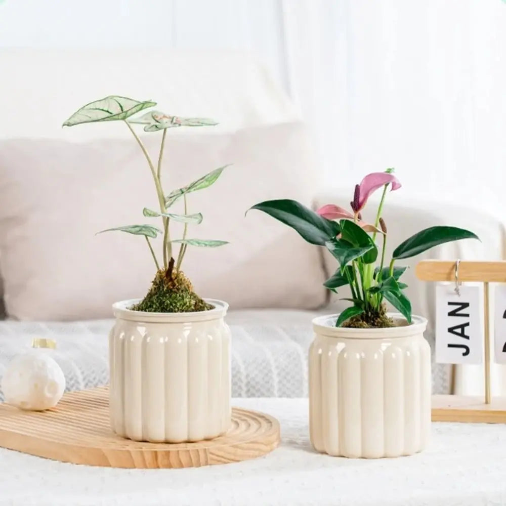 RomanHydro Self-Watering Planter