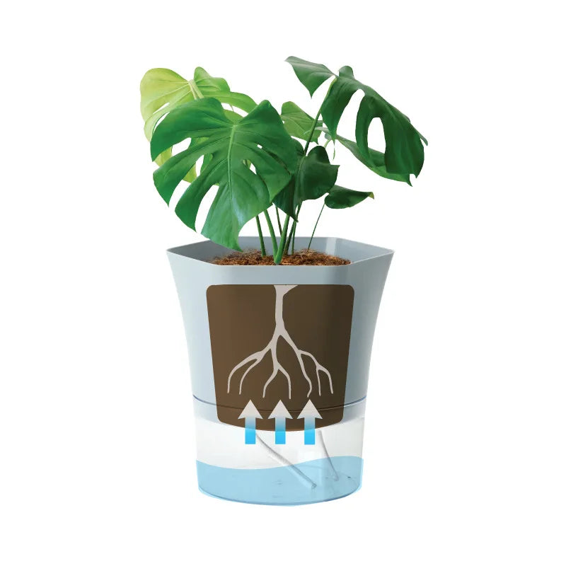 HydroVue Self Watering Planter