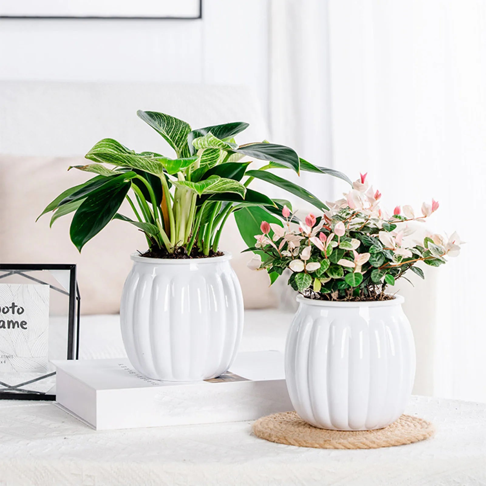 PumpkinSprout Self Watering Planter
