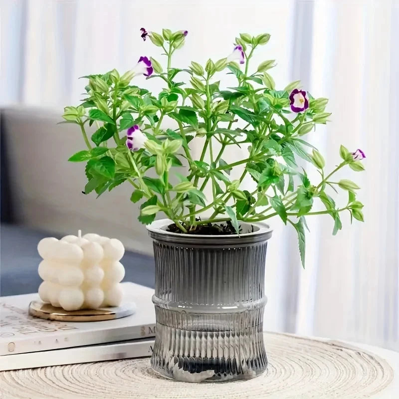BloomVase Self-Watering Planter