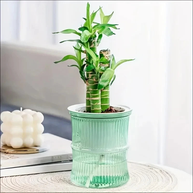 BloomVase Self-Watering Planter