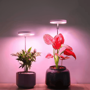 Halo LED Plant Growth Lamp