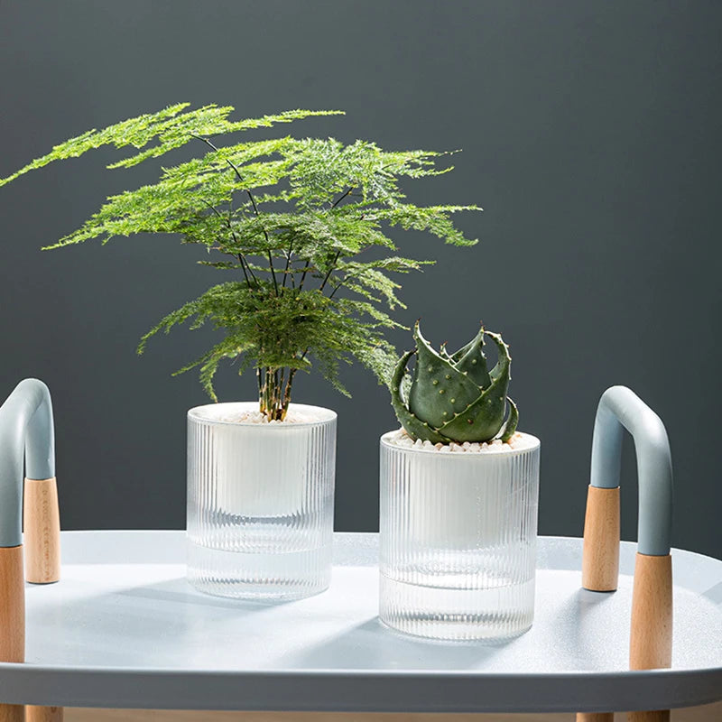 Terracotta Europa Planter