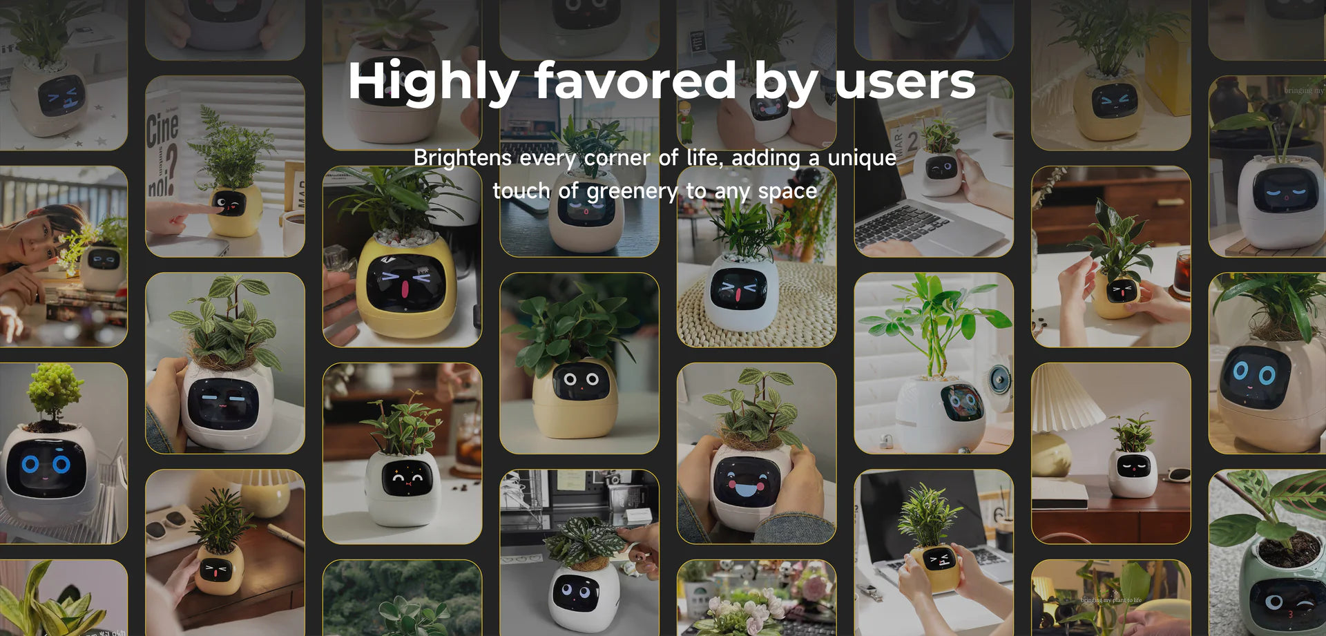 IvySmart Planter | Smart Self-Watering Flower Pot with App