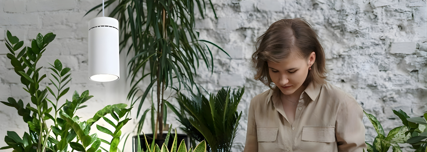 collection-banner-image