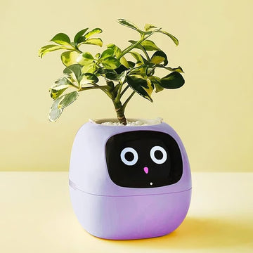 Purple robot-shaped IvySmart planter with a plant on a yellow background
