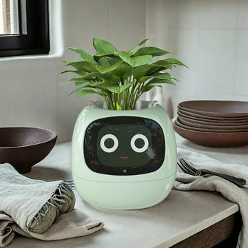 Green robot-like planter with a face on a kitchen counter. Plant for indoor
