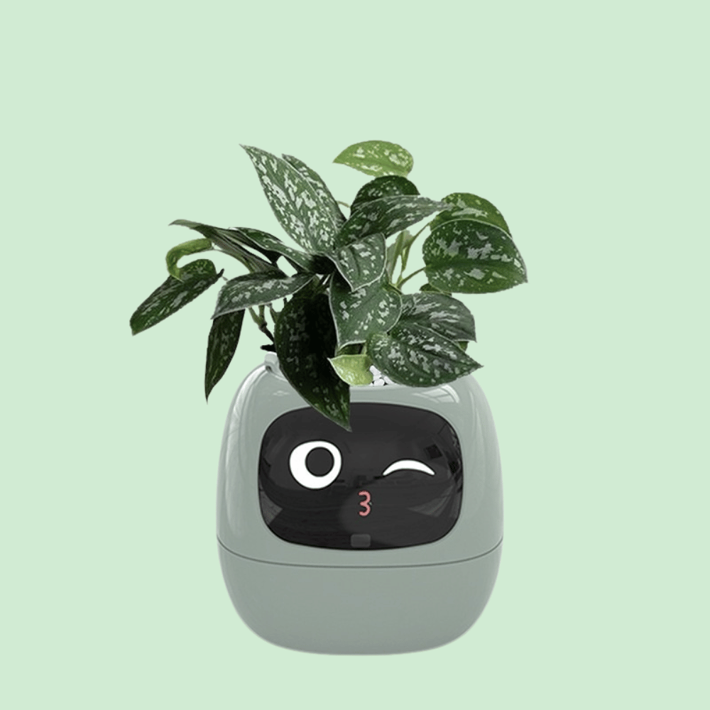 Smart plant pot with a face on a light green background - IvySmart Planter | Your Plant's New Best Friend