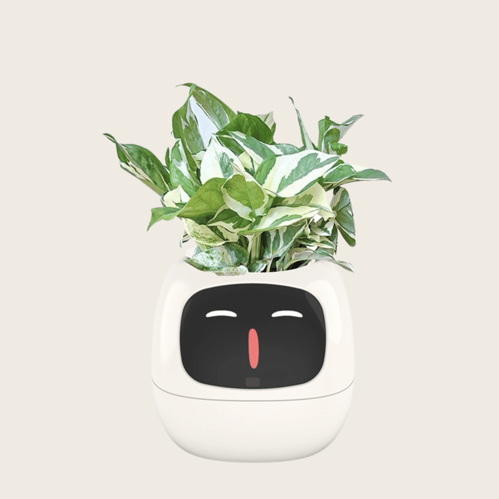 White planter with a face design containing a green plant on a light gray background - IvySmart Planter | Your Plant's New Best Friend