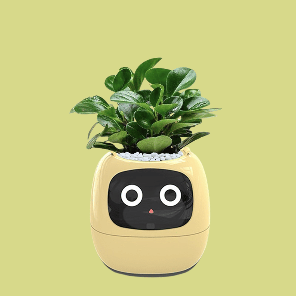 Plants in a decorative pot with a face on a green background - IvySmart Planter | Your Plant's New Best Friend