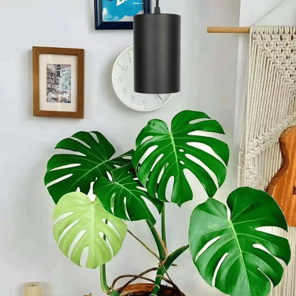 AuraGlow Pendant Grow Light