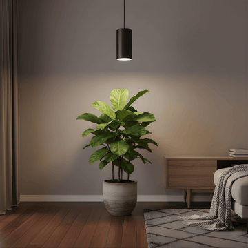 Potted plant and black pendant grow light in a living room with a dark wall and wooden floor.