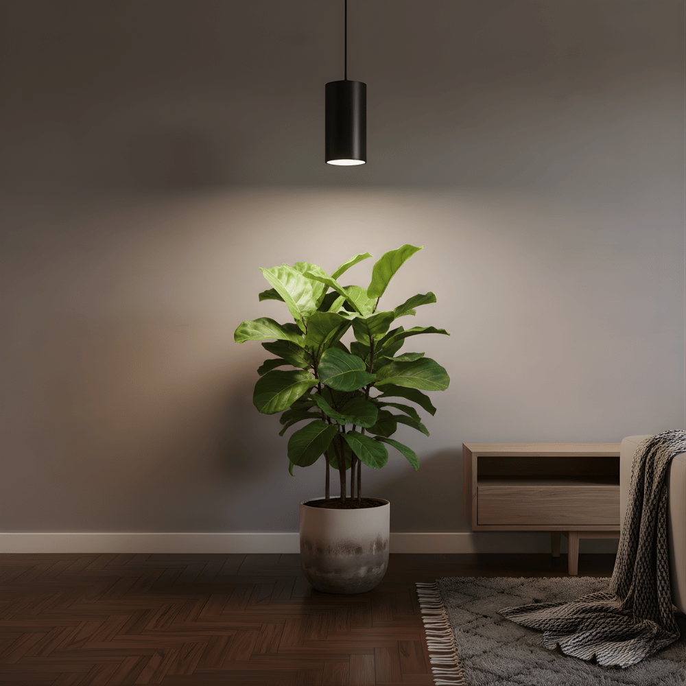 Potted plant in a room with a wooden cabinet and a hanging pendant grow light.