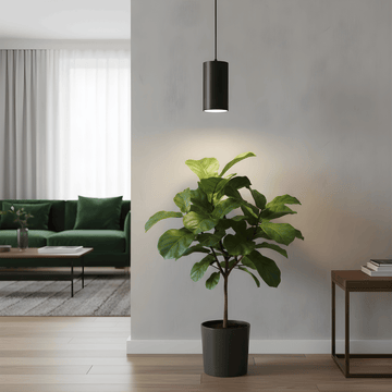 Potted plant in a modern living room with a green sofa and pendant grow light.