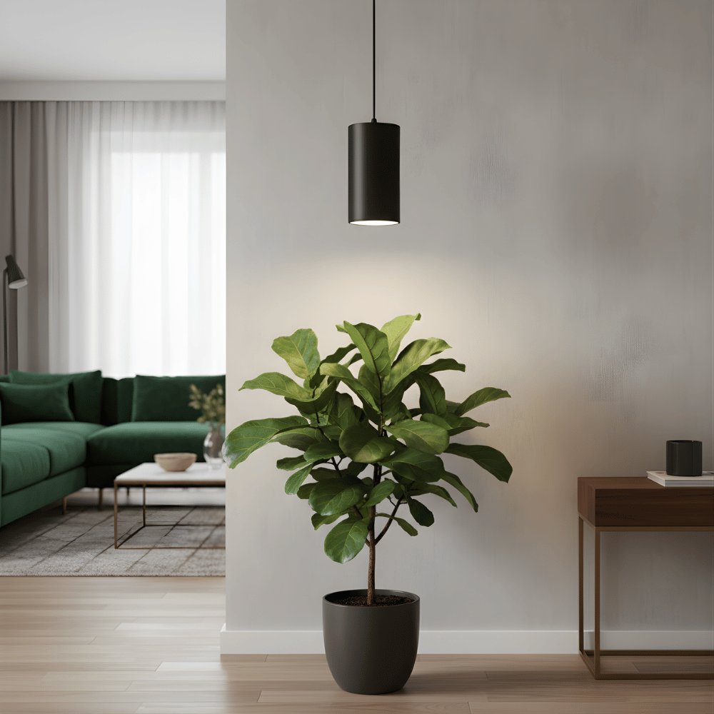 Potted plant in a modern living room with a green sofa and pendant grow light.