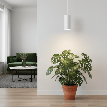 Potted plant and pendant grow light in a living room with a green sofa and coffee table.